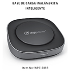 nikolay-budylin-manualb2