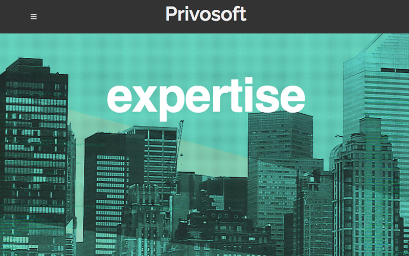 Logo for software company