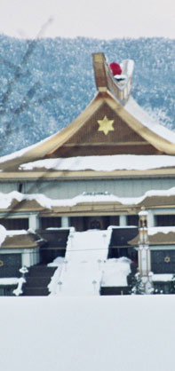 Mahicari Center Laby