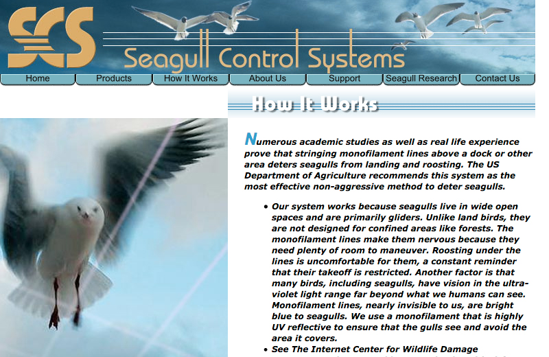 Seagull Control Systems page